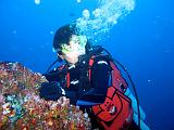 Isla del Coco - 93